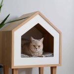 Tips Memilih Material dan Konstruksi yang Tepat untuk Rumah Kucing