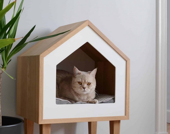 Tips Memilih Material dan Konstruksi yang Tepat untuk Rumah Kucing