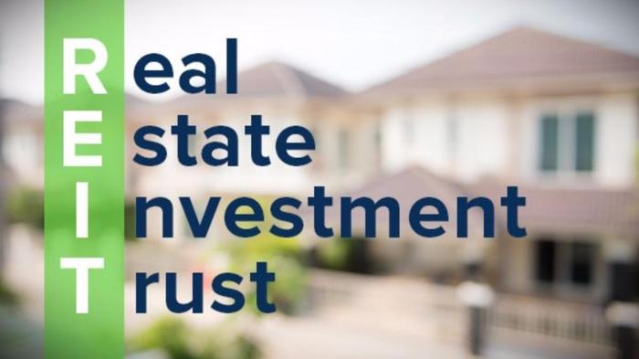 Reits real investing trusts understanding invest reit exemptions basic thefinance dividend