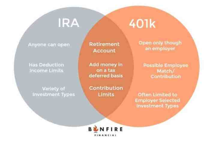 Ira vs retirement 401k account choose nest planting egg tree building like