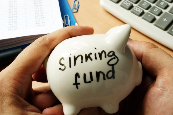 Sinking funds for big expenses